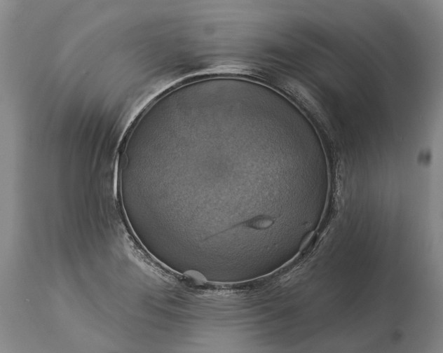 X0000115331276200911161800