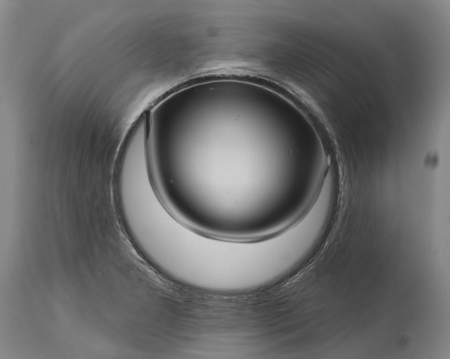 X0000115331277200911161800