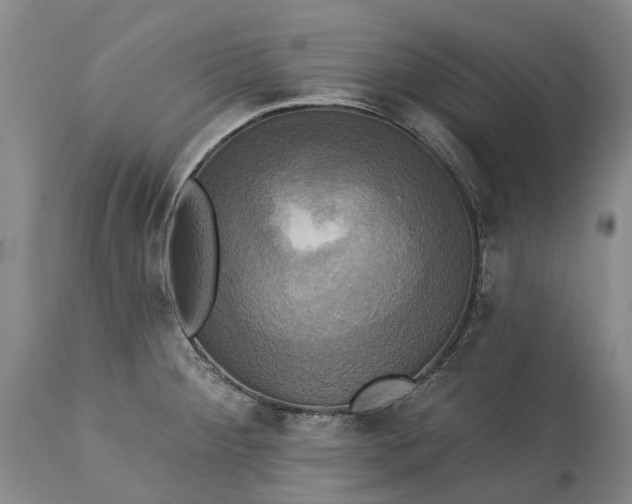 X0000115331284200911161800