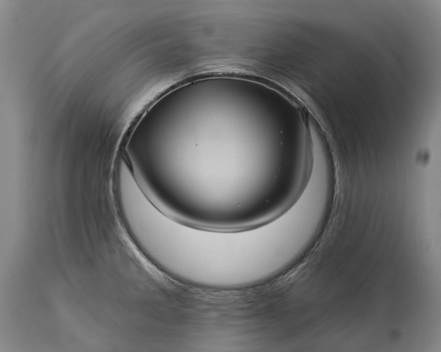 X0000115331285200911161800