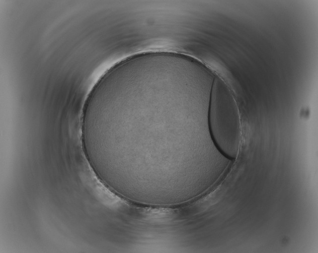 X0000115331288200911161800