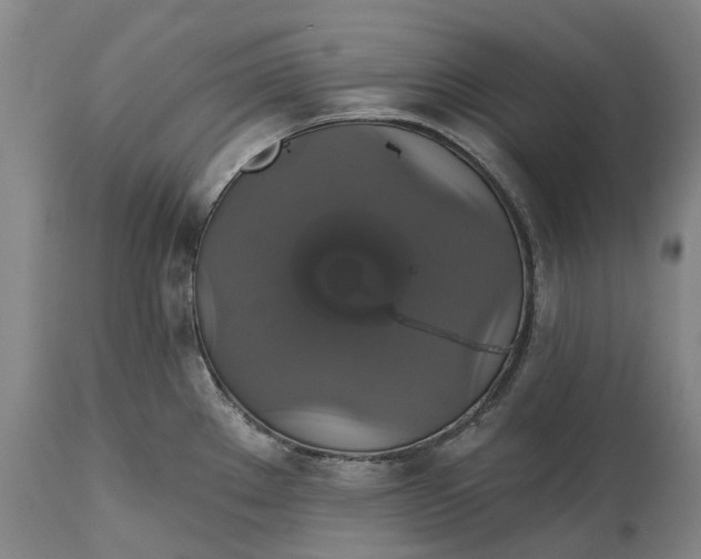 X0000115331289200911161800