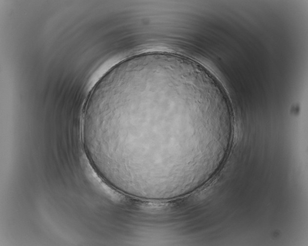 X0000115331290200911161800