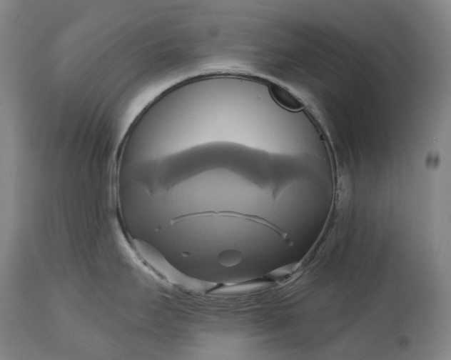 X0000115331295200911161800