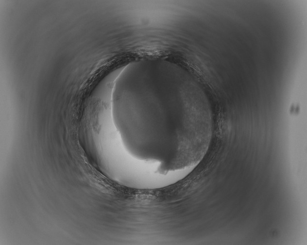 X0000115331297200911161759