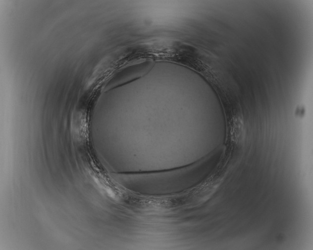 X0000115331298200911161759