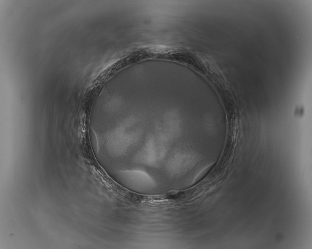 X0000115331301200911161759