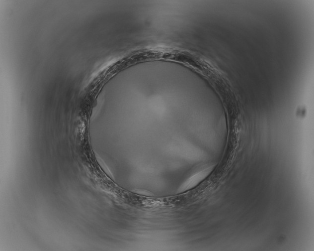 X0000115331302200911161759