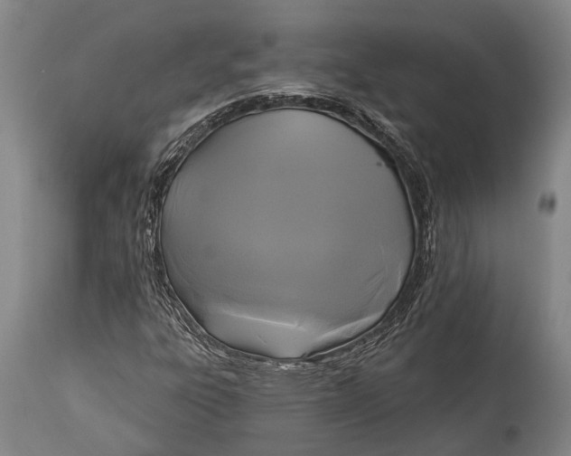 X0000115331303200911161759