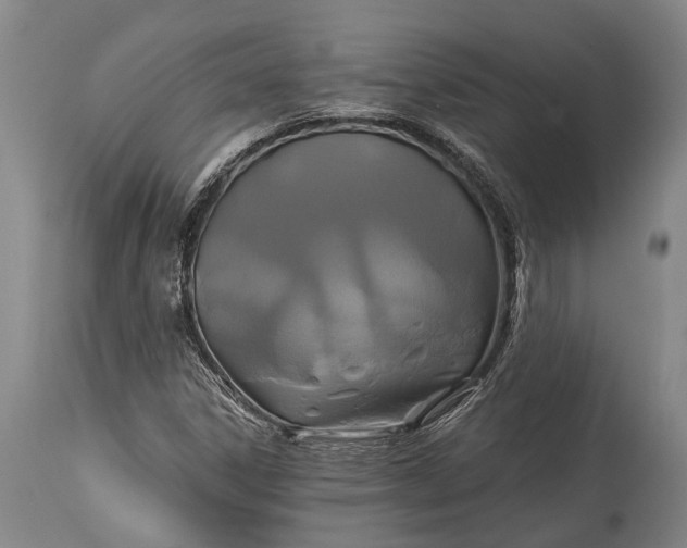 X0000115331306200911161759