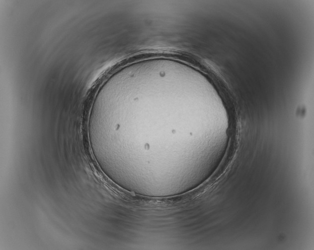 X0000115331307200911161759