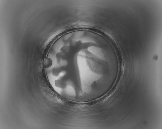 X0000115331309200911161759