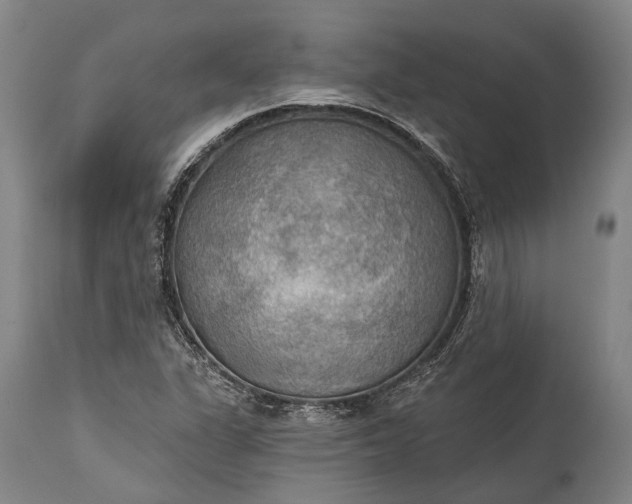 X0000115331311200911161759