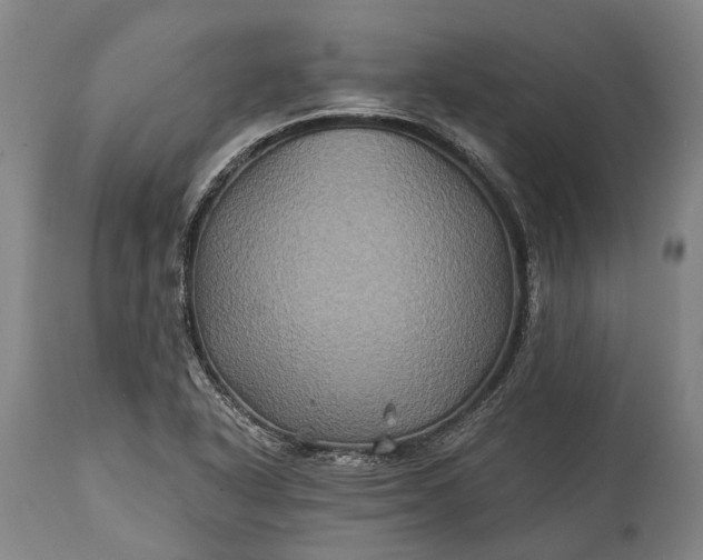 X0000115331318200911161759