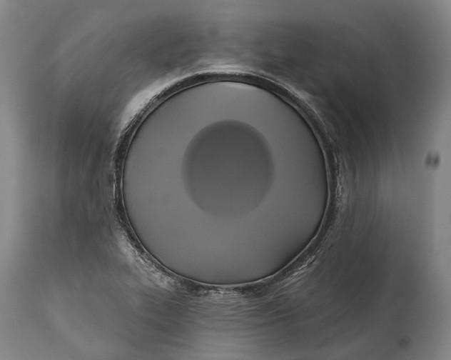 X0000115331319200911161759