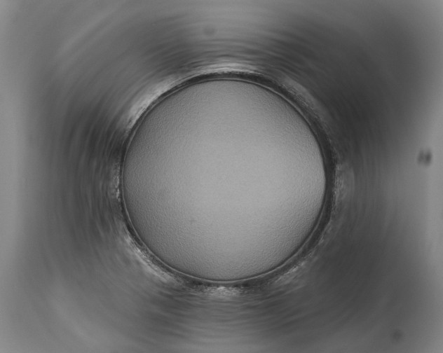 X0000115331321200911161759