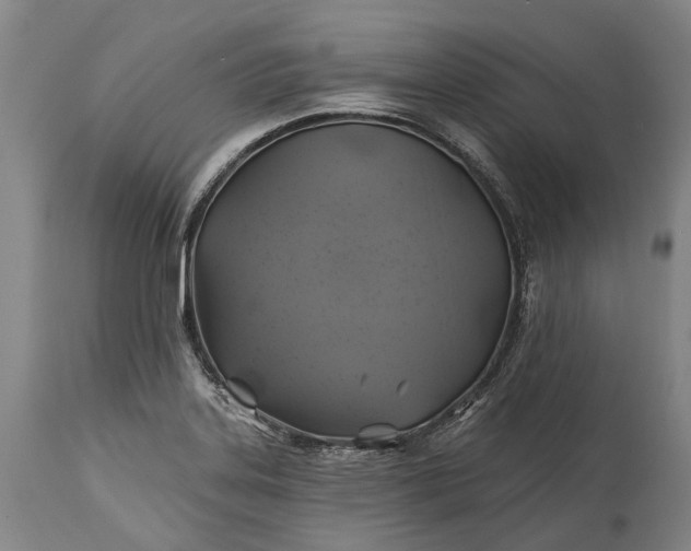 X0000115331323200911161759