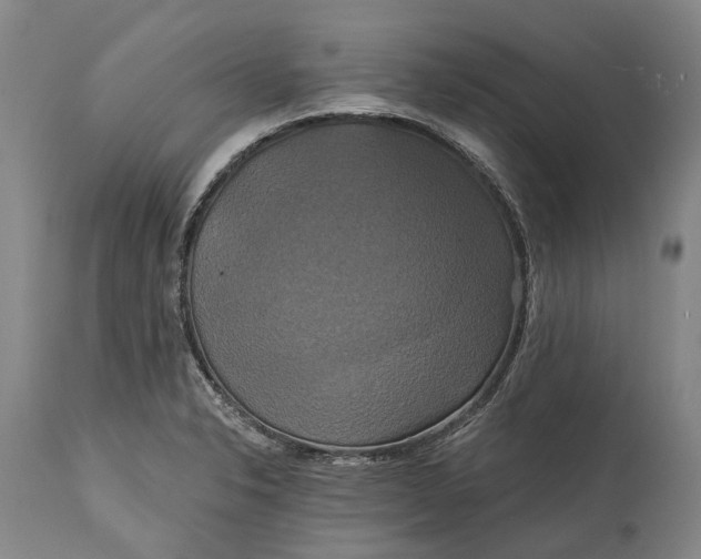 X0000115331326200911161759