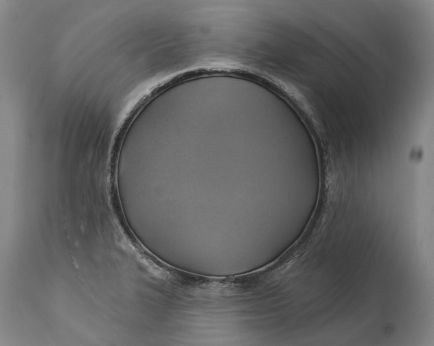 X0000115331327200911161759