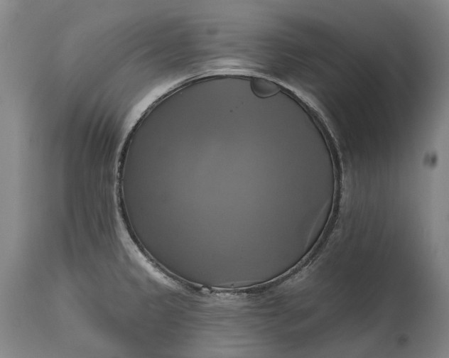 X0000115331333200911161800