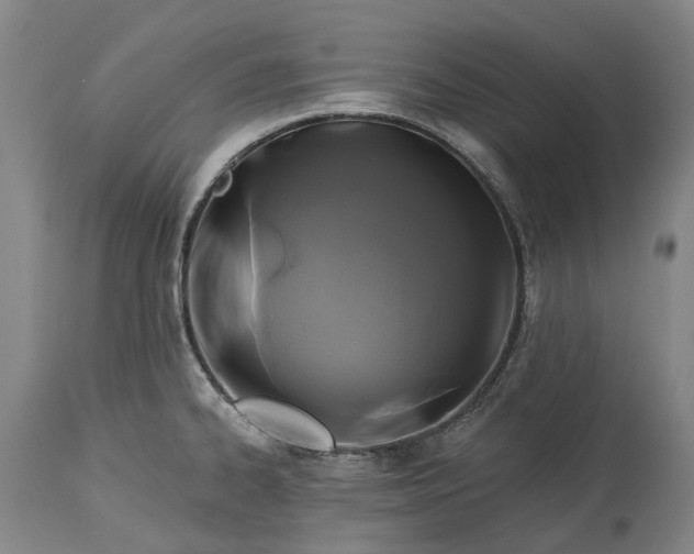 X0000115331334200911161800