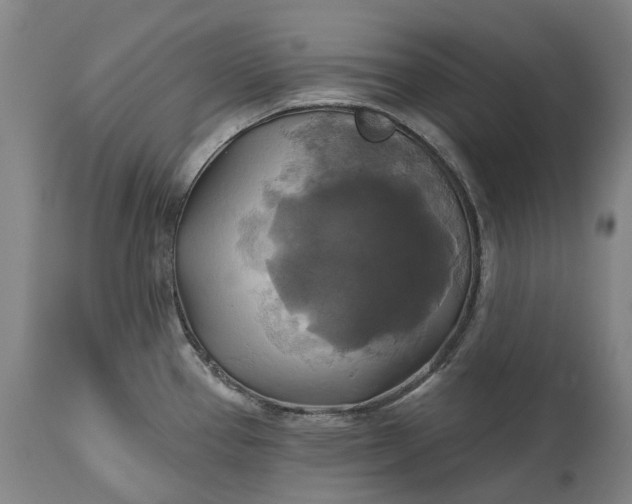 X0000115331337200911161800
