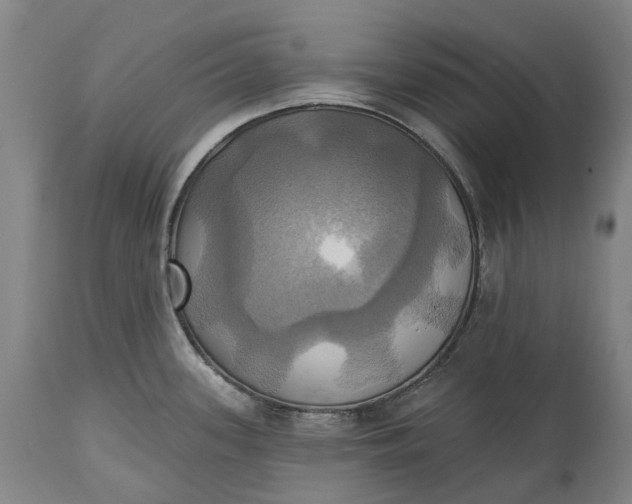 X0000115331339200911161800
