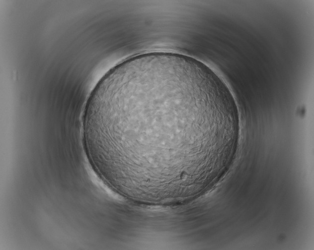 X0000115331341200911161800