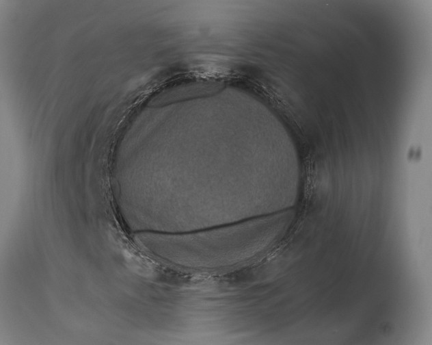 X0000115331345200911161759