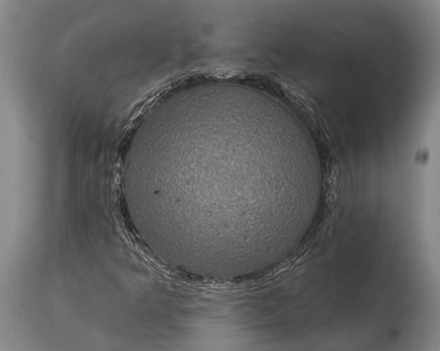 X0000115331349200911161759