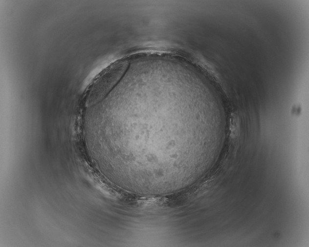 X0000115331352200911161759