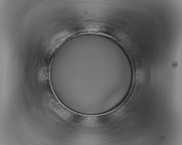 X0000115331353200911161759
