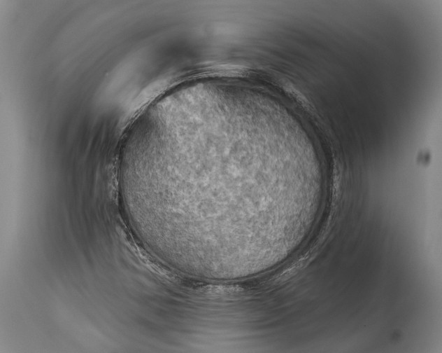 X0000115331354200911161759