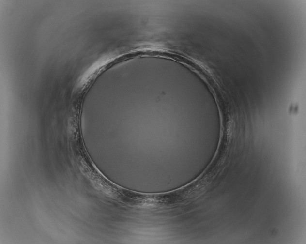 X0000115331359200911161759