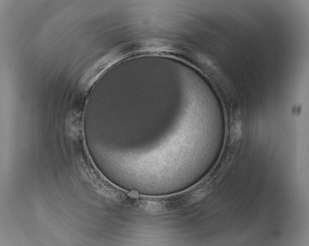 X0000115331361200911161759