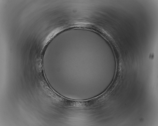 X0000115331362200911161759