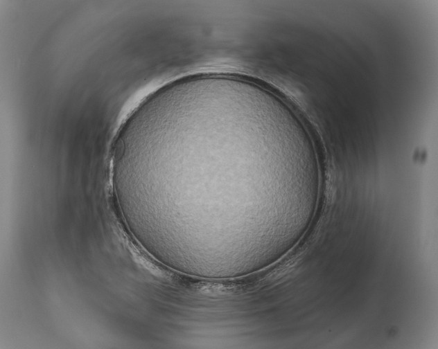 X0000115331366200911161759