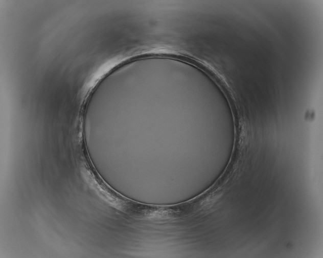 X0000115331367200911161759
