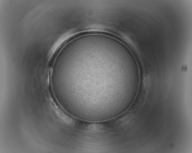 X0000115331368200911161759
