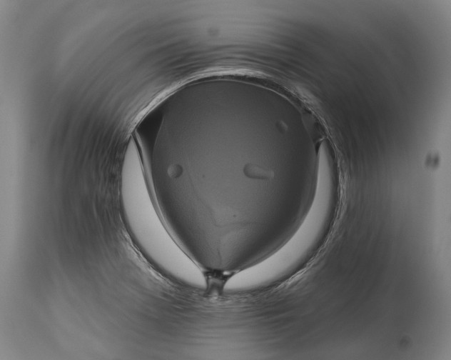 X0000115331369200911161759