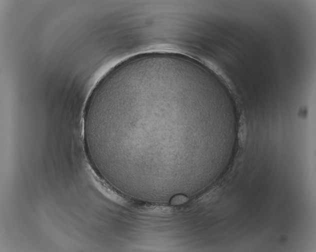 X0000115331372200911161759
