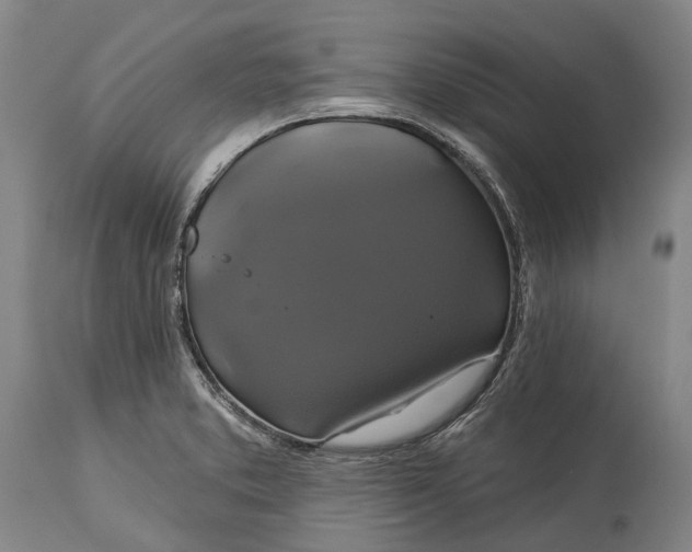 X0000115331373200911161759