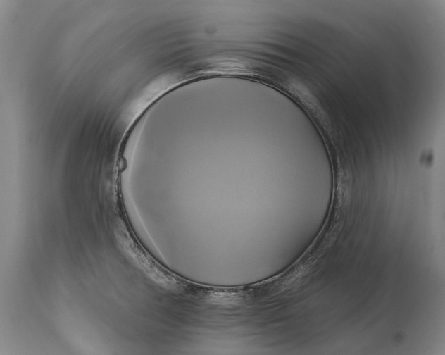 X0000115331378200911161759