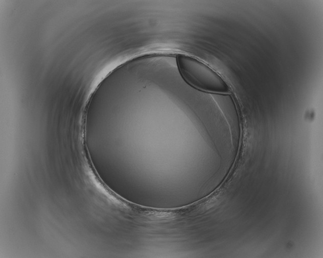 X0000115331382200911161759