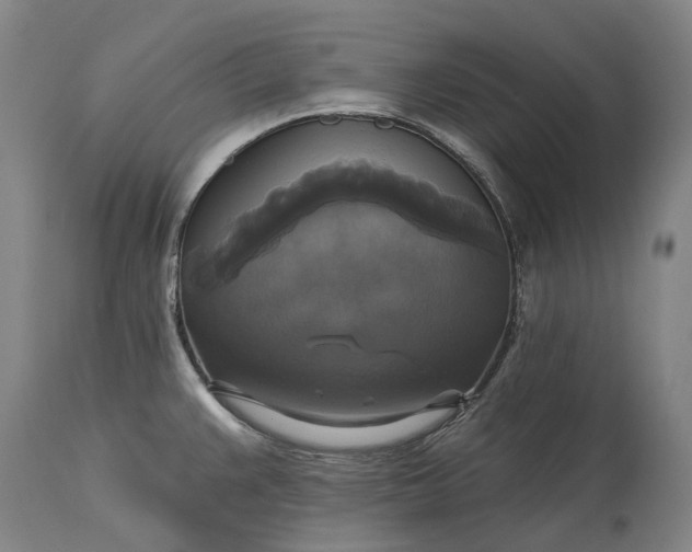 X0000115331383200911161759