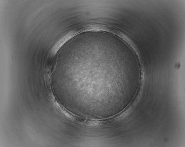 X0000115331385200911161758
