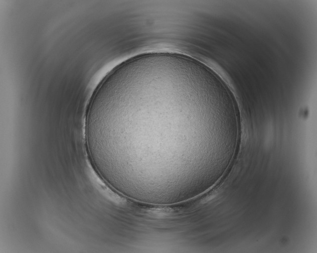 X0000115331388200911161758