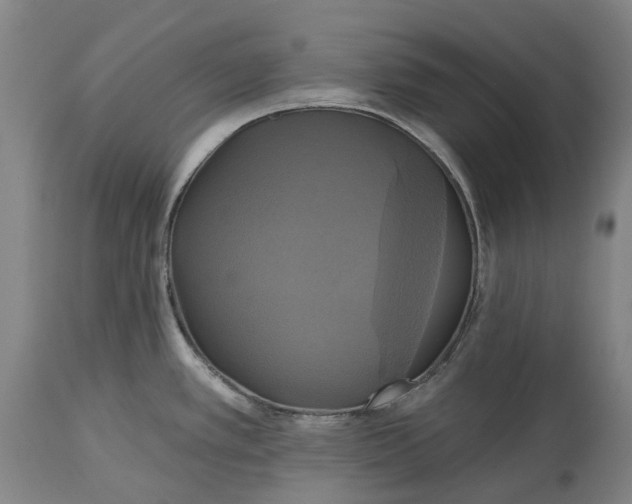 X0000115331389200911161758