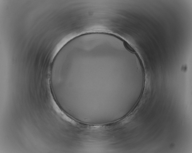 X0000115331390200911161758