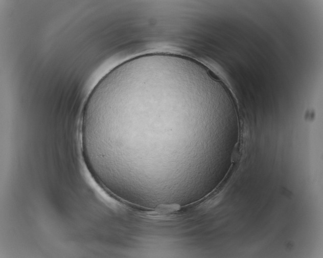 X0000115331391200911161758